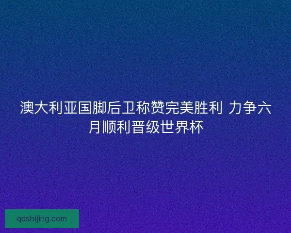 澳大利亚国脚后卫称赞完美胜利 力争六月顺利晋级世界杯