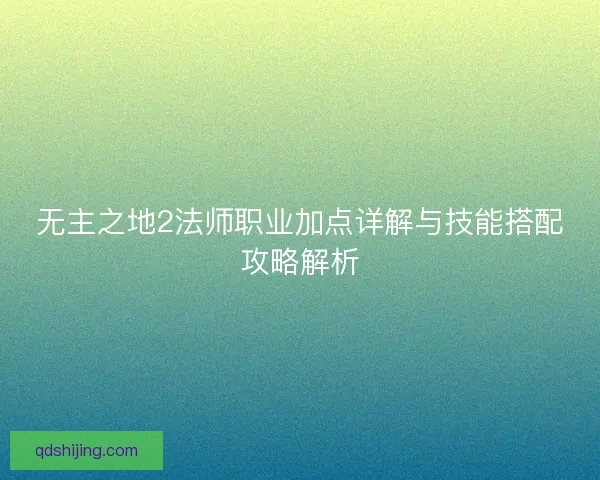 无主之地2法师职业加点详解与技能搭配攻略解析