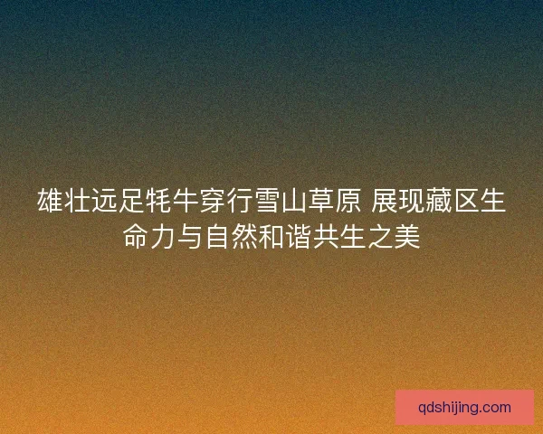 雄壮远足牦牛穿行雪山草原 展现藏区生命力与自然和谐共生之美 雄壮远足牦牛穿行雪山草原 展现藏区生命力与自然和谐共生之美
