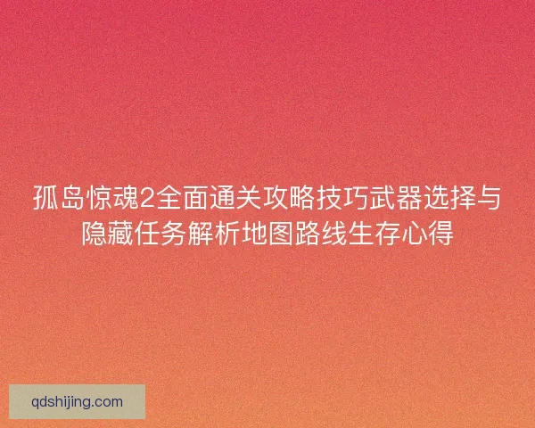 孤岛惊魂2全面通关攻略技巧武器选择与隐藏任务解析地图路线生存心得