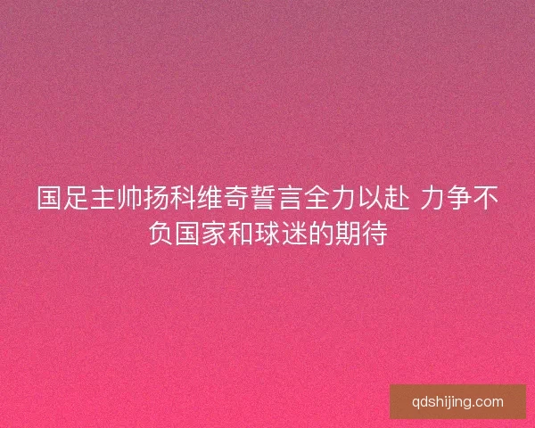 国足主帅扬科维奇誓言全力以赴 力争不负国家和球迷的期待 国足主帅扬科维奇誓言全力以赴 力争不负国家和球迷的期待